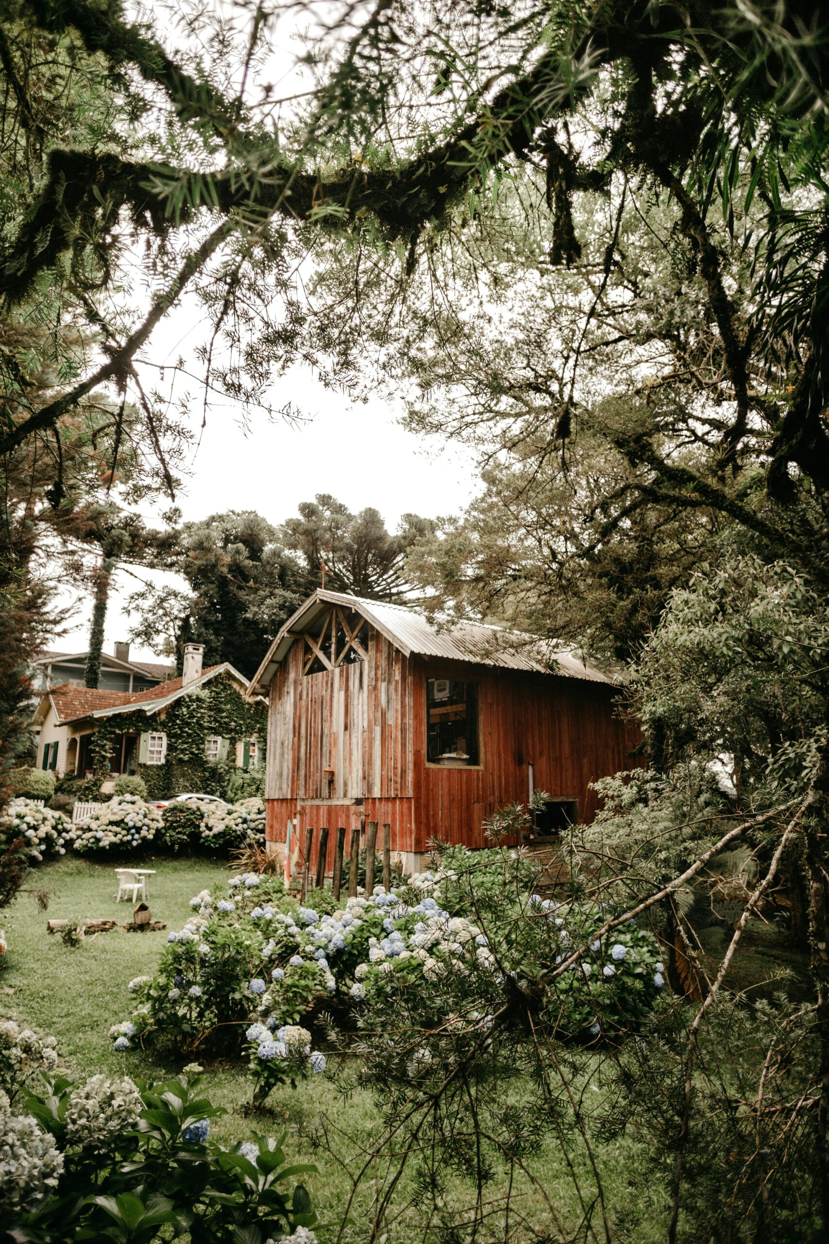 A tranquil and rustic barn surrounded by lush greenery and vibrant hydrangeas in a serene countryside setting.